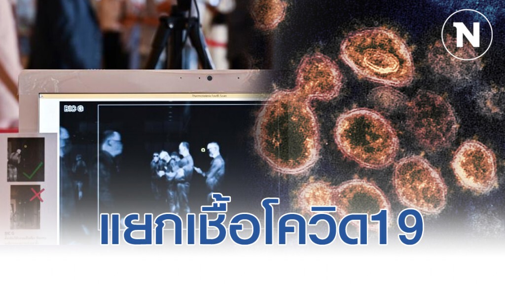 กรมวิทยาศาสตร์การแพทย์ประสบความสำเร็จแยกเชื้อ โควิด19 กรมวิทยาศาสตร์การแพทย์ประสบความสำเร็จแยกเชื้อ โควิด19