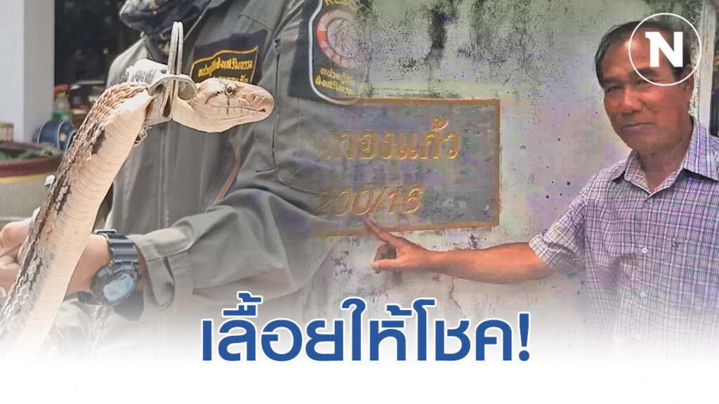 คอหวยตีเลขเด็ด! งูเลื้อยเข้าบ้านของอดีตราชการ เชื่อว่าจะได้โชคลาภ