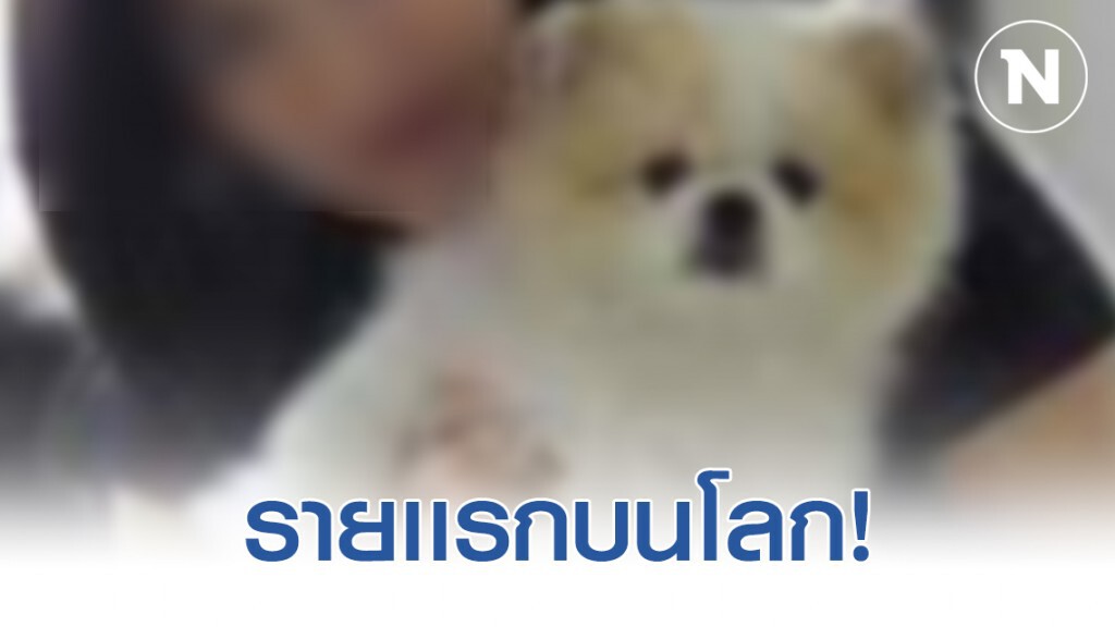รายเเรกบนโลก! พบสุนัขพันธุ์ "ปอมเมอเรเนียน" ติดเชื้อไวรัสโควิด-19