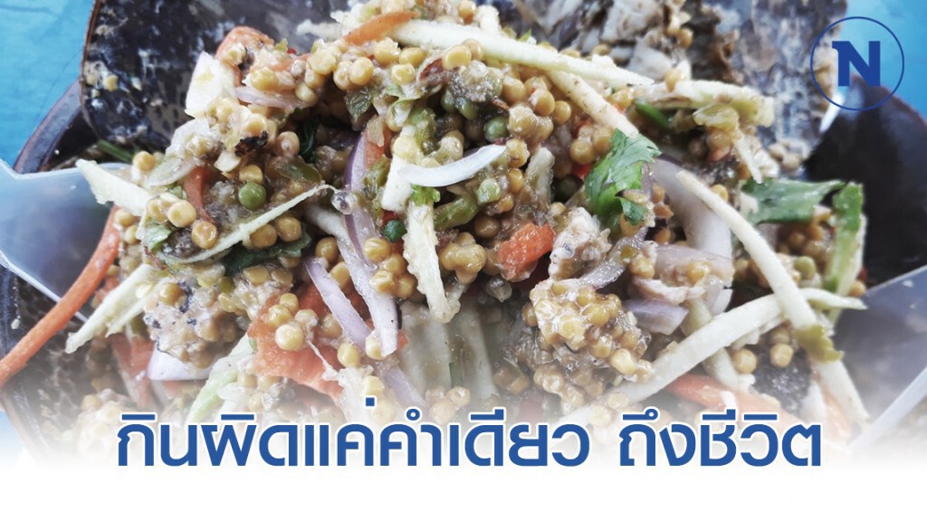 เตือน เปิบเมนูไข่แมงดาทะเล!!