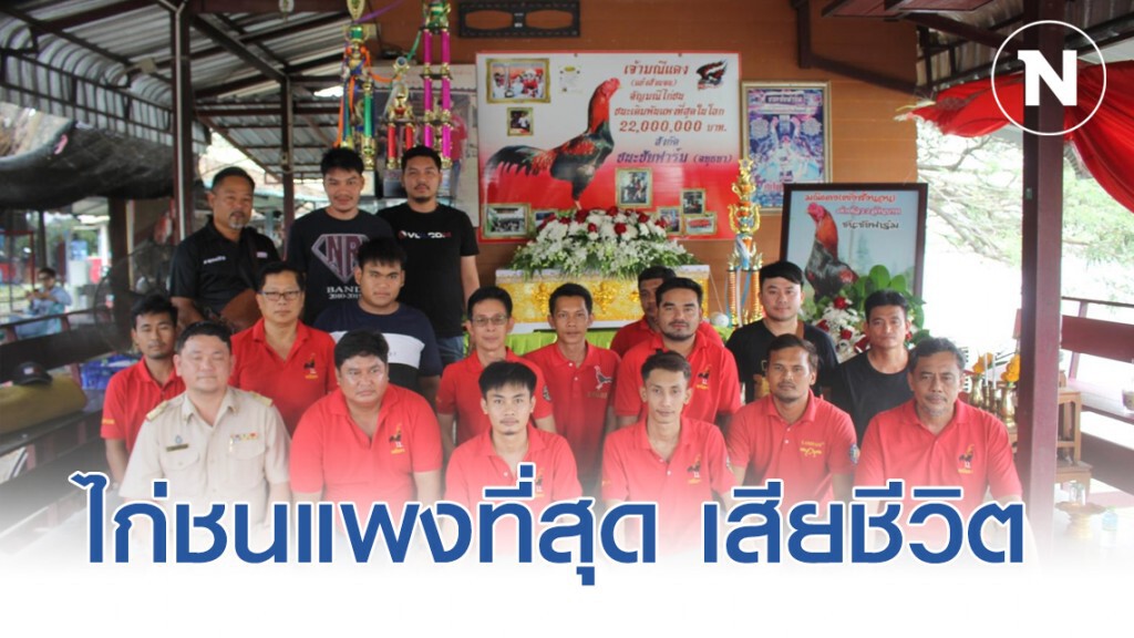 ปิดตำนานเจ้ามณีแดง! ไก่ชน ค่าตัวเดิมพันแพงที่สุดในโลก 22 ล้าน