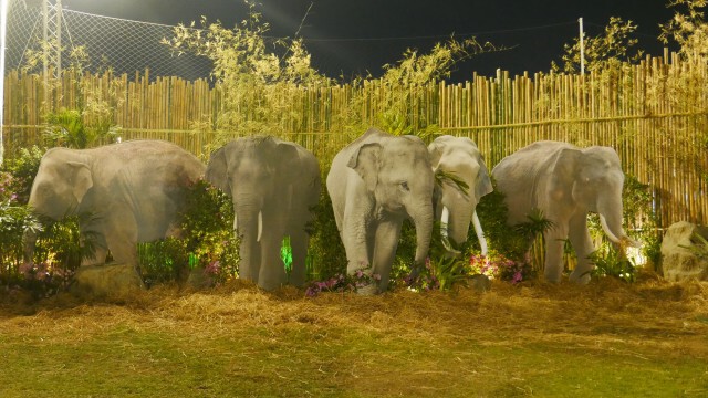 "ELEPHANT BOAT RACE& RIVER FESTIVAL"