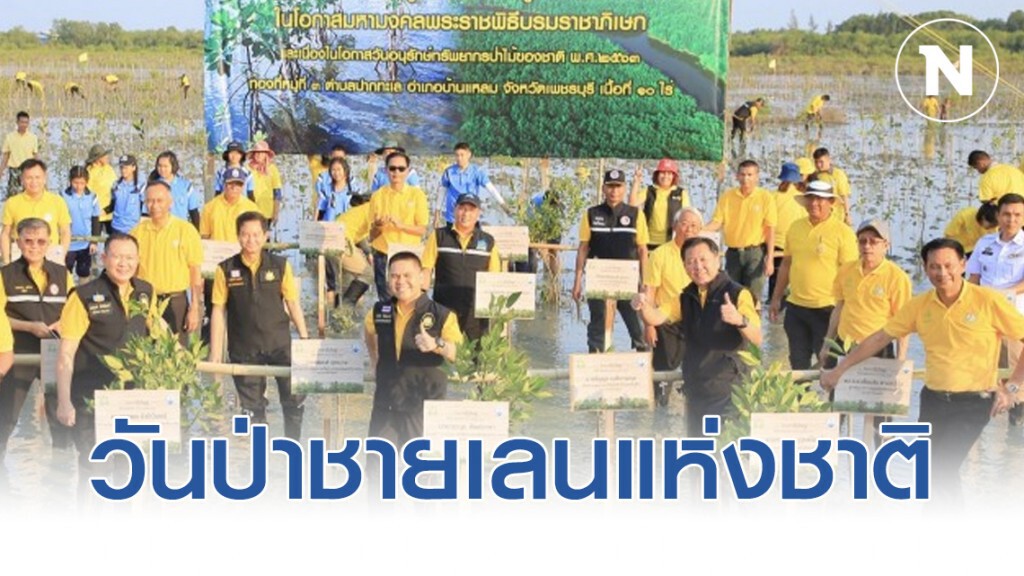 ครม.เห็นชอบให้ 10 พ.ค. ของทุกปีเป็นวันป่าชายเลนแห่งชาติ