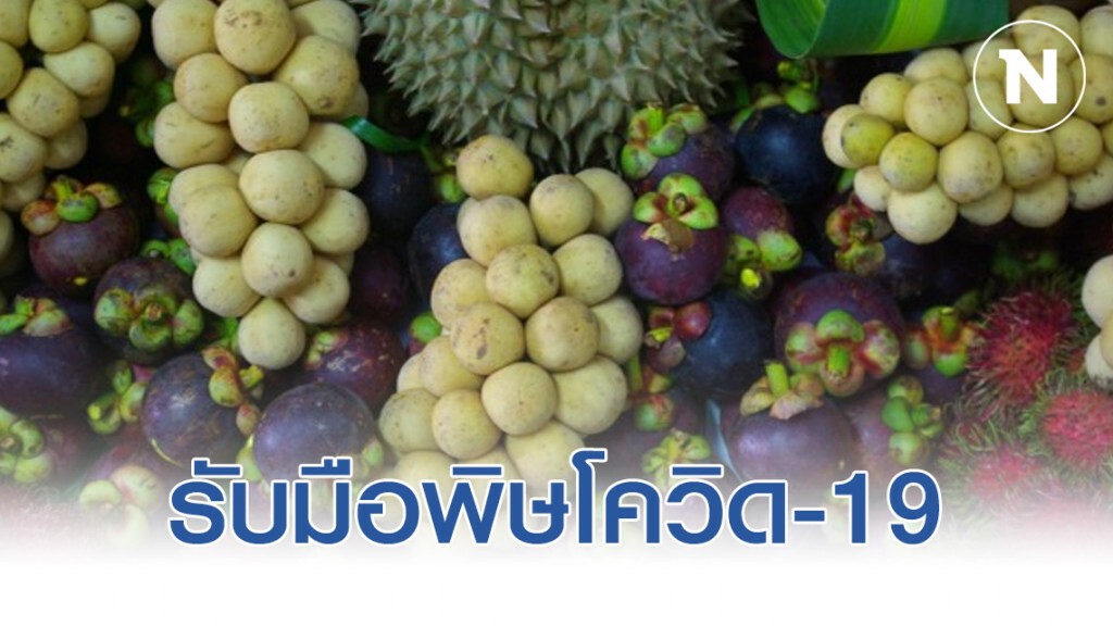 รับมือพิษไวรัสโควิด-19 ตลาดจีนซม ห่วงเกษตรกร เจอทั้งภัยแล้ง โรคร้ายซ้ำ ไร้คำสั่งซื้อจากต่างประเทศ