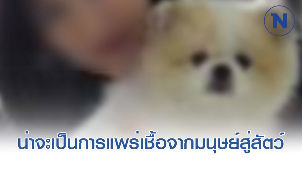 ผู้เชี่ยวชาญเห็นพ้อง ผลตรวจ สุนัขติด "โควิด-19"