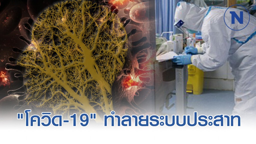 "โควิด-19" อาจสร้างความเสียหายต่อระบบประสาทได้ "โควิด-19" อาจสร้างความเสียหายต่อระบบประสาทได้