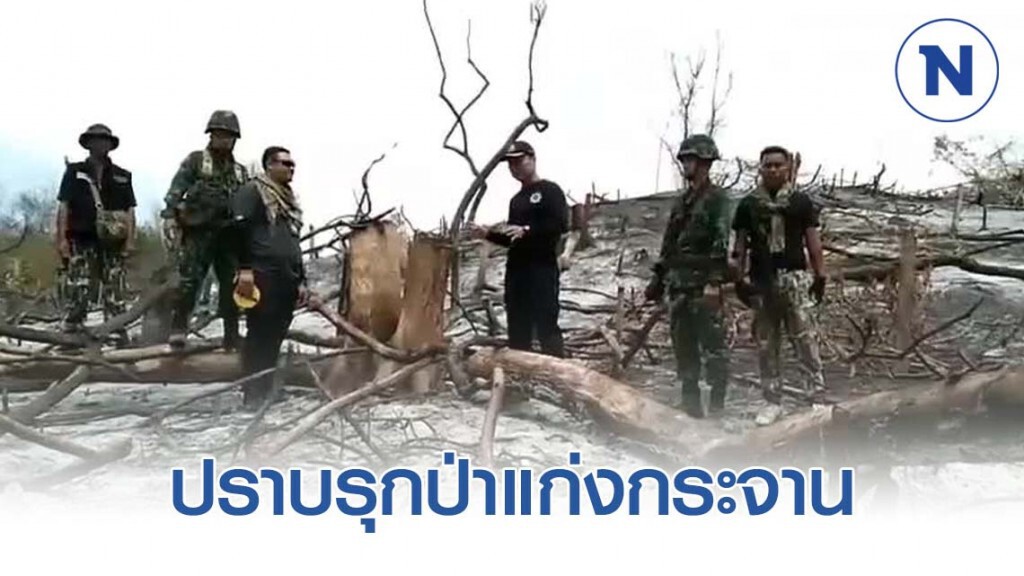 พญาเสือลุยปราบรุกป่าแก่งกระจาน พญาเสือลุยปราบรุกป่าแก่งกระจาน
