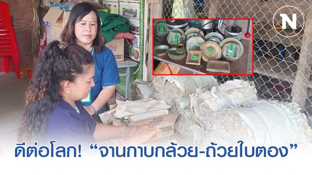 "จานกาบกล้วย-ถ้วยใบตอง" ชาวสวนสุโขทัยปั๊มส่งขายแทนโฟม ลดโลกร้อน