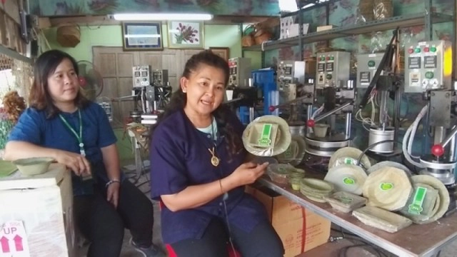 "จานกาบกล้วย-ถ้วยใบตอง" ชาวสวนสุโขทัยปั๊มส่งขายแทนโฟม ลดโลกร้อน