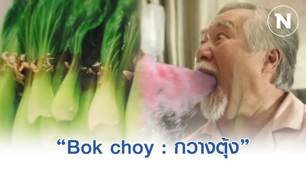 "Bok choy : กวางตุ้ง" ภาพยนตร์โฆษณาตัวใหม่จาก สสส.