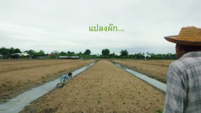 "Bok choy : กวางตุ้ง" ภาพยนตร์โฆษณาตัวใหม่จาก สสส.