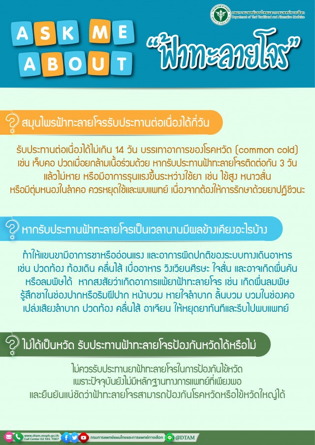 แพทย์แนะ "ฟ้าทะลายโจร" ให้ได้ผลดี ต้องกินทันทีเมื่อมีอาการไข้