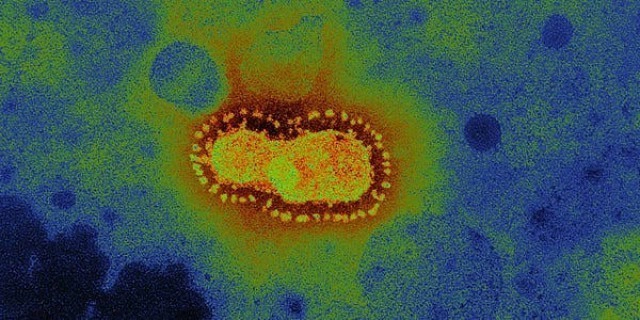 ข้อเท็จจริง 3 ประการ ต้นกำเนิด "โควิด-19"