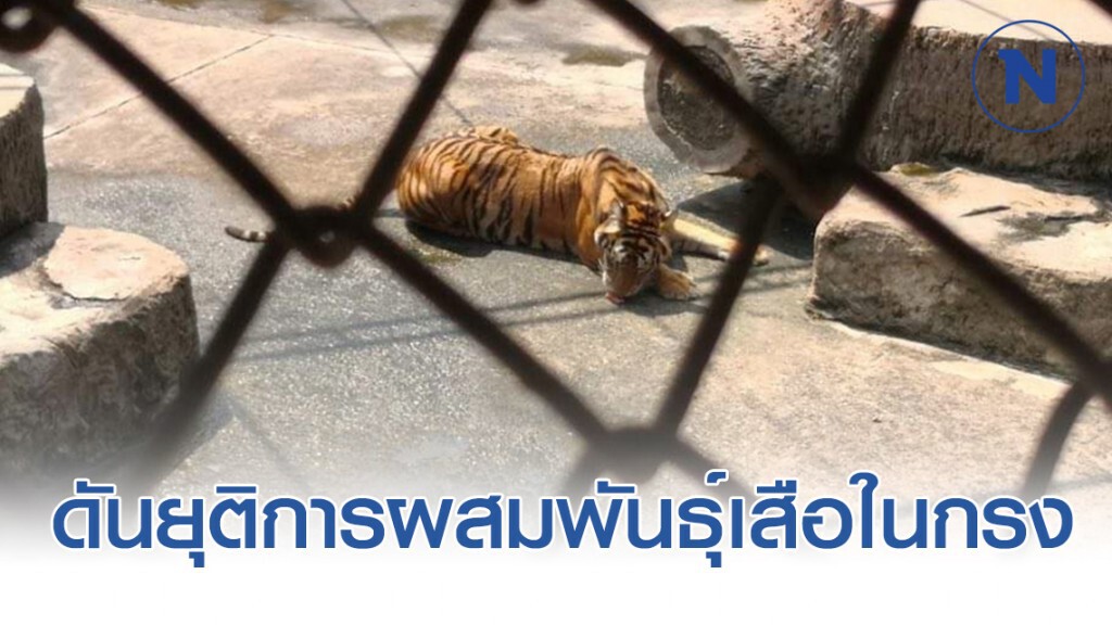 เมื่อสัตว์ป่าไม่ใช่นักแสดงและผู้ให้ความบันเทิงแก่มนุษย์อีกต่อไป