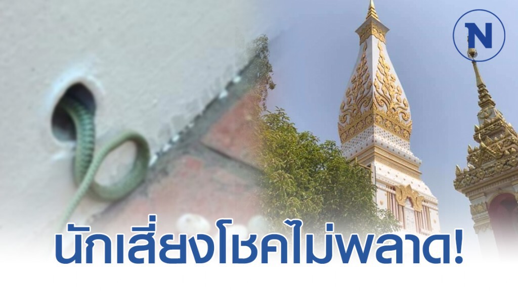 งูเขียววางไข่ ในลานพระธาตุพนม ชาวบ้านแห่ตีเลข!