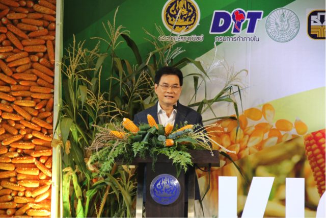 รัฐบาลทุ่มกว่า 900 ล้านบาทประกันรายได้ข้าวโพดเลี้ยงสัตว์ เสริมความมั่นคงเกษตรกร