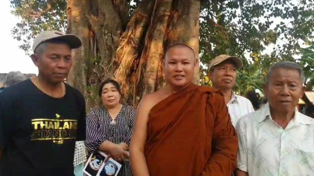 พบต้นโพธิ์โบราณ 3 นาง อายุ 496 ปี ใหญ่สุดในพะเยา! โตขนาด 24 คนโอบ