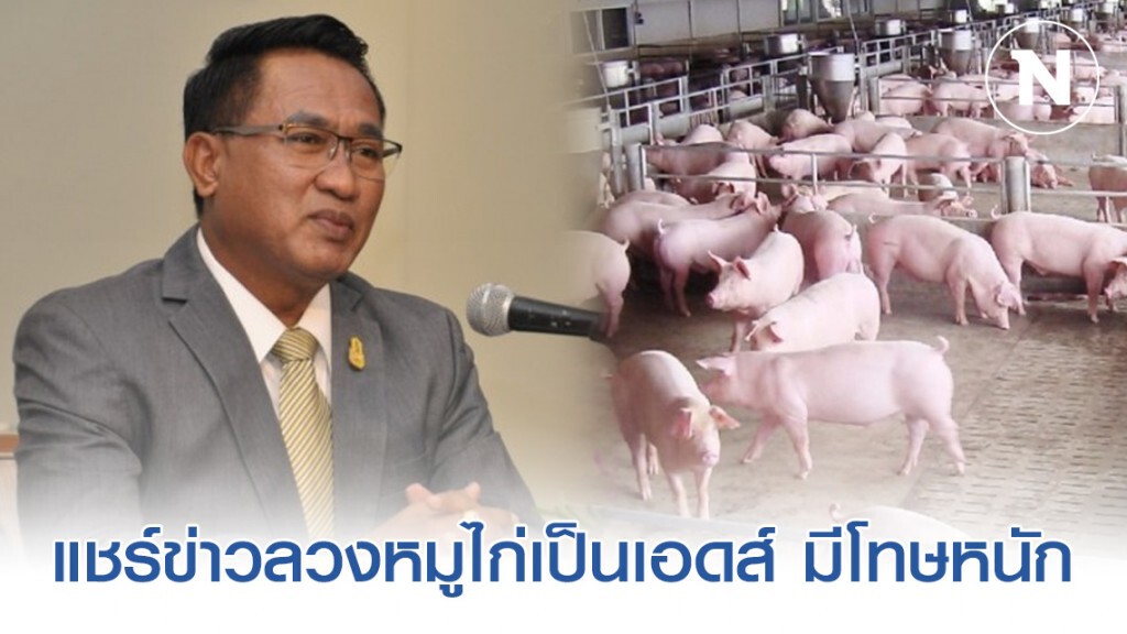 ปศุสัตว์เตือนคนแชร์ข่าวลวงหมูไก่เป็นเอดส์ ผิดพ.ร.บ.คอมฯ มีโทษหนัก