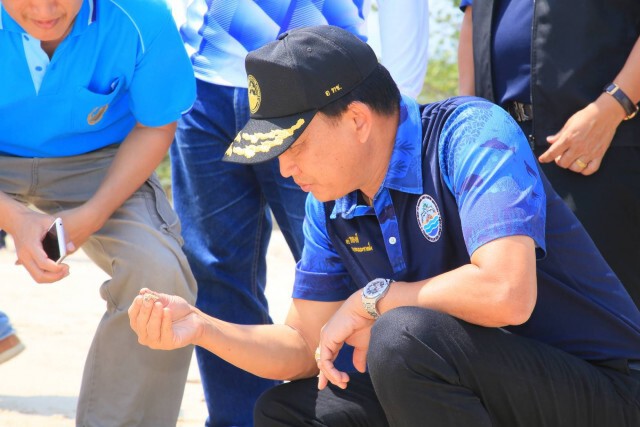 กรมทะเล เร่งจัดการปัญหาก้อนน้ำมันเกลื่อนหาด จ.นครศรีธรรมราช