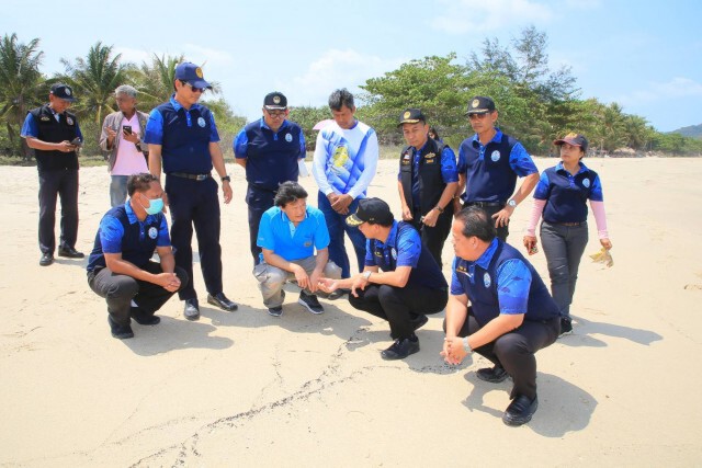 กรมทะเล เร่งจัดการปัญหาก้อนน้ำมันเกลื่อนหาด จ.นครศรีธรรมราช