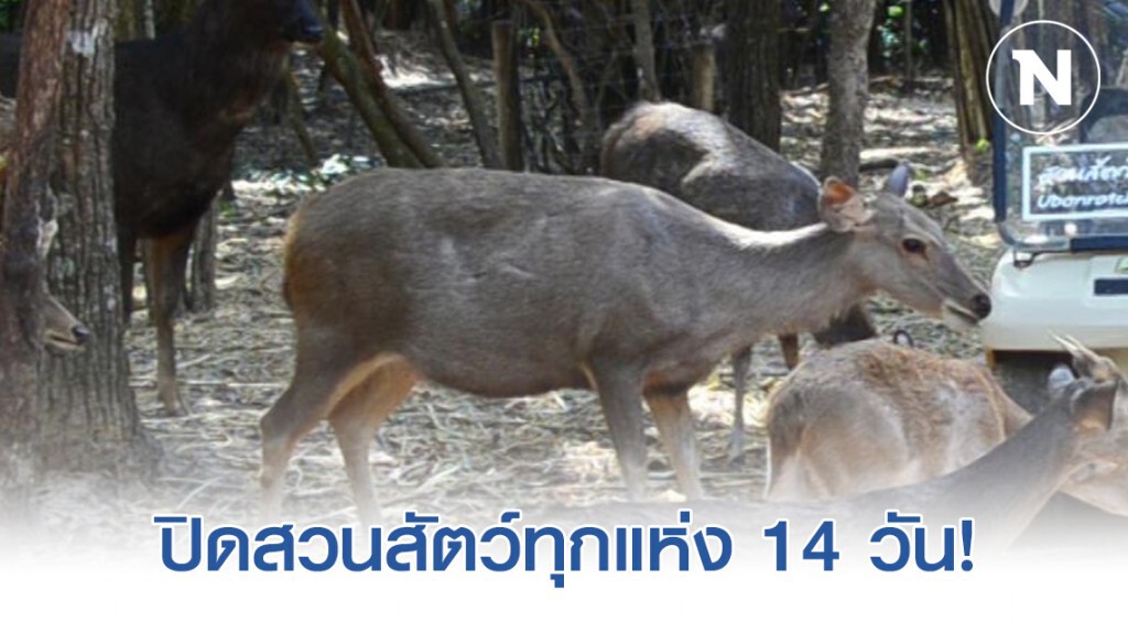 กระทรวงทรัพยากรธรรมชาติและสิ่งแวดล้อม ประกาศปิดสวนสัตว์ทุกแห่ง 14 วัน