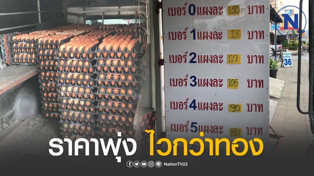 ชาวเน็ตโอด ราคาไข่ไก่ ขึ้นไวกว่าทองคำ ชาวเน็ตโอด ราคาไข่ไก่ ขึ้นไวกว่าทองคำ