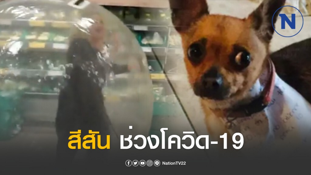 สีสันทั่วโลก ช่วงโควิด-19 ระบาด สีสันทั่วโลก ช่วงโควิด-19 ระบาด