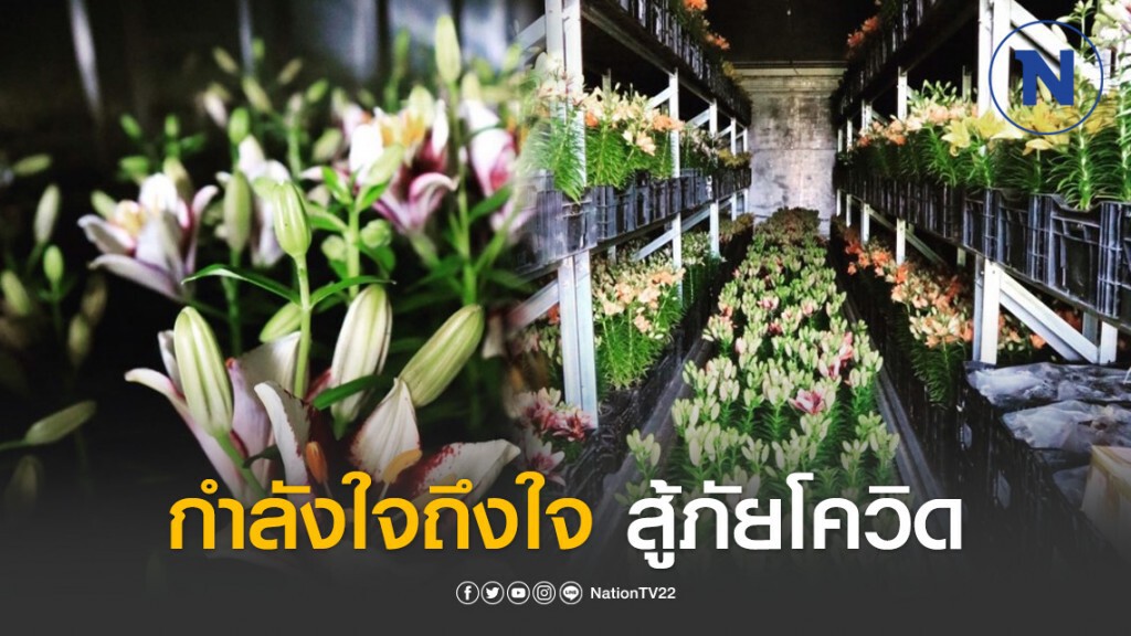 "กำลังใจถึงใจ สู้ภัยโควิด" อุทยานไม้ดอก เพลาเพลิน  ส่งต่อดอกไม้ให้คุณ