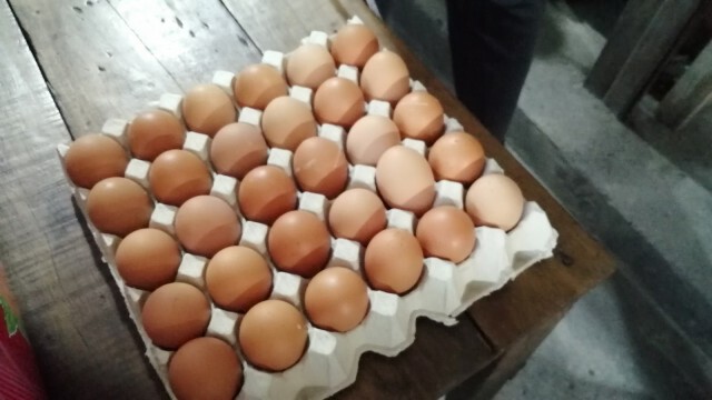 กรมการค้าภายใน ยันไข่ไก่มีเพียงพอกับความต้องการของประชาชน