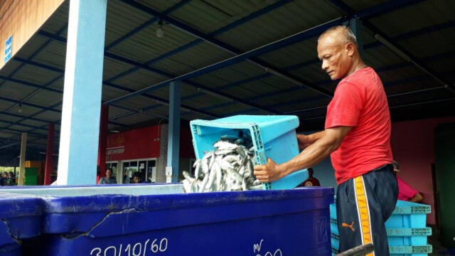 หนุ่มเจ้าของแพ แจกปลาฟรี สนับสนุนให้คนอยู่ในบ้านป้องกันโควิด