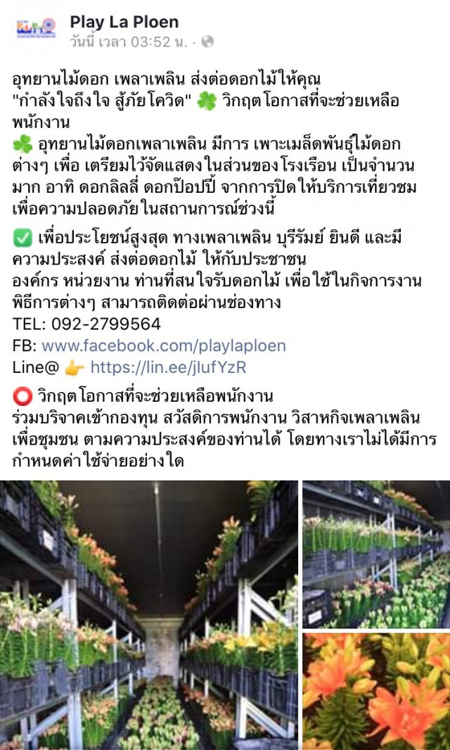 "กำลังใจถึงใจ สู้ภัยโควิด" อุทยานไม้ดอก เพลาเพลิน  ส่งต่อดอกไม้ให้คุณ