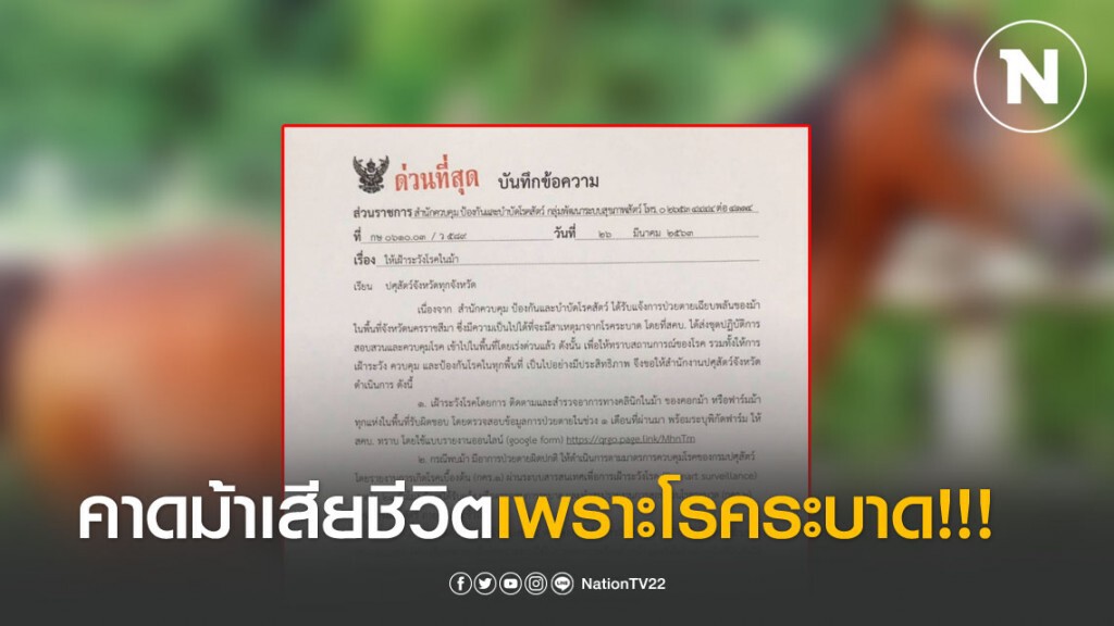 กรม ปศุสัตว์ ประกาศ!  เฝ้าระวังหลังพบม้าเสียชีวิต คาดเพราะโรคระบาด
