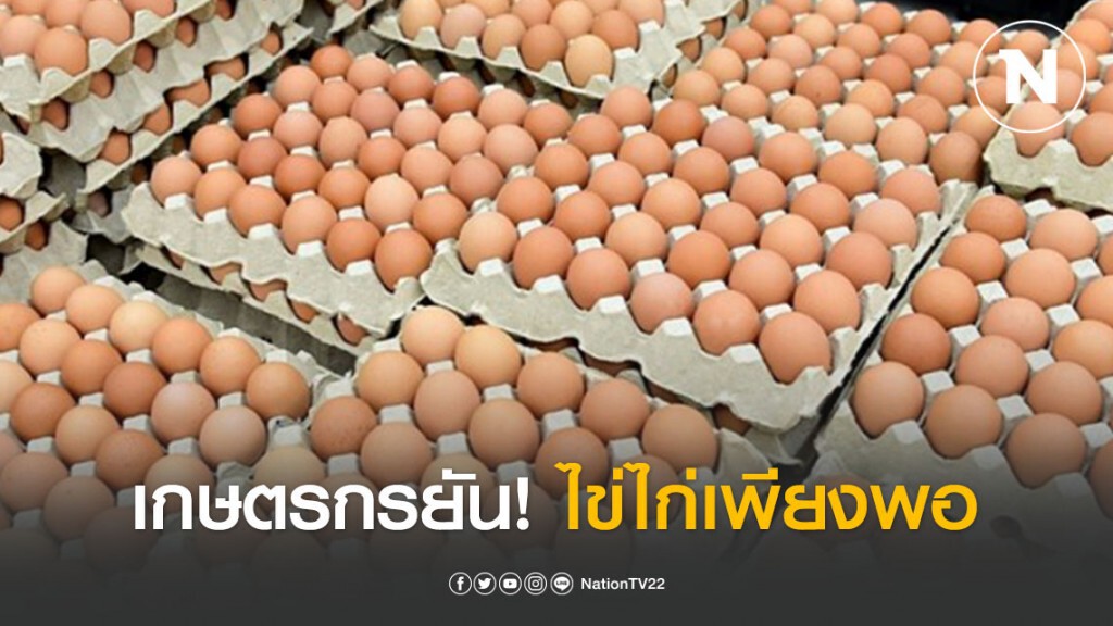 เกษตรกรยัน! ไข่ไก่เพียงพอกับการบริโภค
