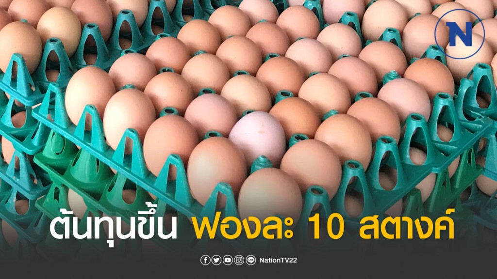 'อากาศร้อน-ภัยแล้ง' ดันต้นทุน 'ไข่ไก่' พุ่ง 10 สต./ฟอง
