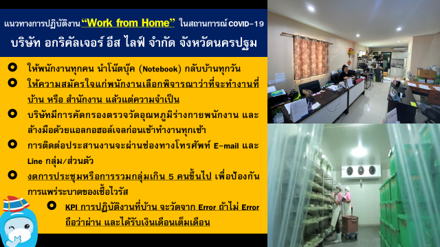 เอกชนขานรับมาตรการ Work From Home