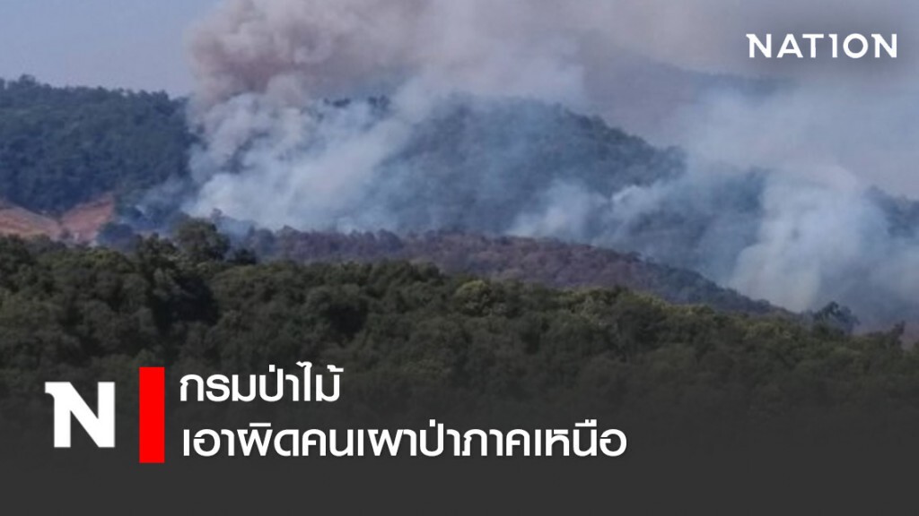 กรมป่าไม้เอาผิดคนเผาป่าภาคเหนือ