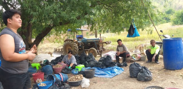ศปป.4กอ.รมน.บุกจับผู้บุกรุกป่่าเพชรบูรณ์