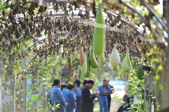 ศธ.เตรียมวิทยาลัย "เกษตรฯ-ประมง" ฐานผลิตอาหารปลอดภัยป้อนไทยทั่วโลกในวิกฤตCOVID-19
