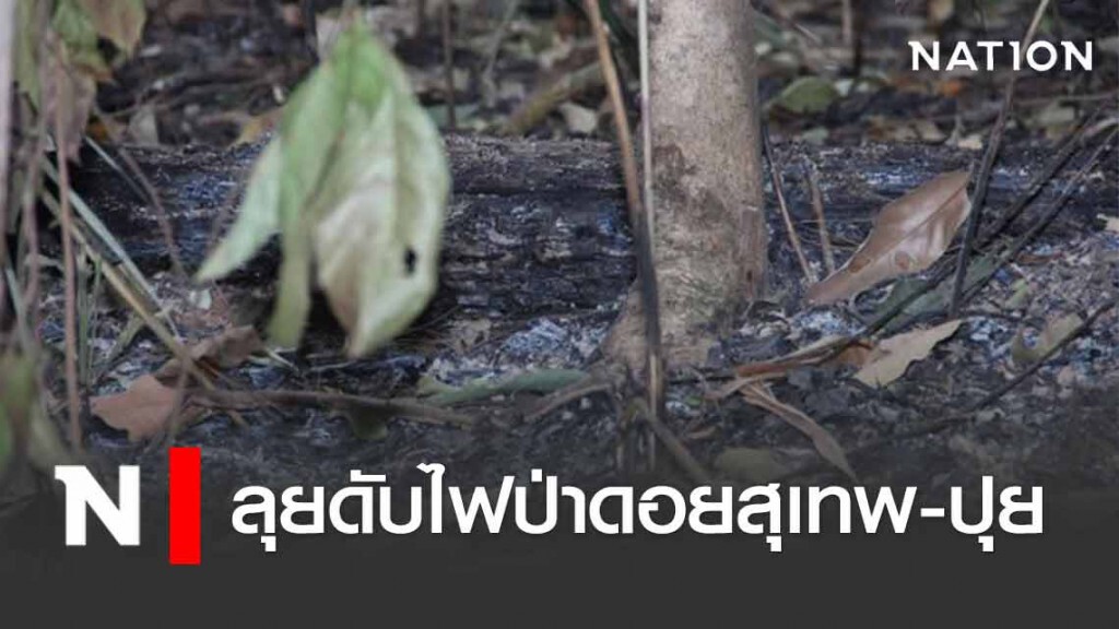 กรมป่าไม้ ลุยดับไฟป่าดอยสุเทพ-ปุย จ. เชียงใหม่