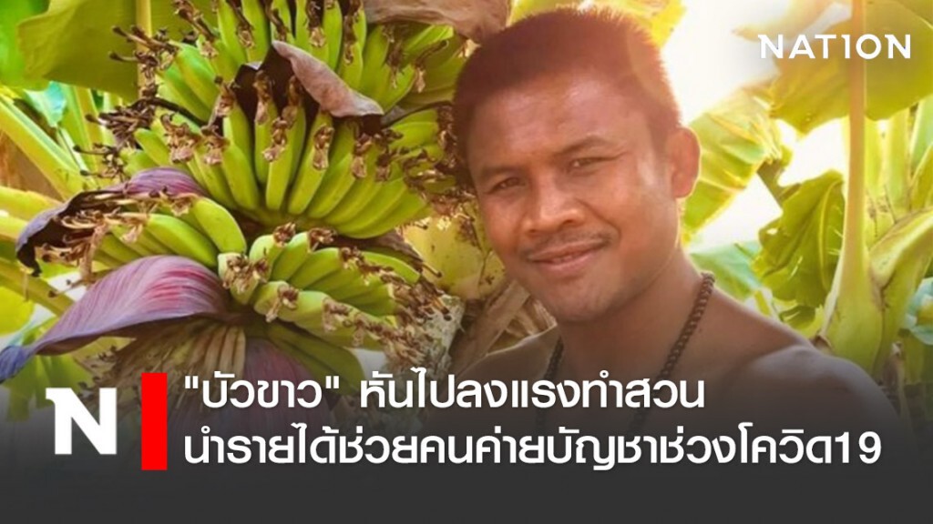 "บัวขาว" หันไปลงแรงทำสวนช่วงโควิด19 นำรายได้ช่วยคนในค่ายบัญชาเมฆ