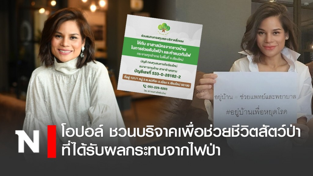 โอปอล์ ชวนบริจาคเพื่อช่วยชีวิตสัตว์ป่าที่ได้รับผลกระทบจากไฟป่า โอปอล์ ชวนบริจาคเพื่อช่วยชีวิตสัตว์ป่าที่ได้รับผลกระทบจากไฟป่า
