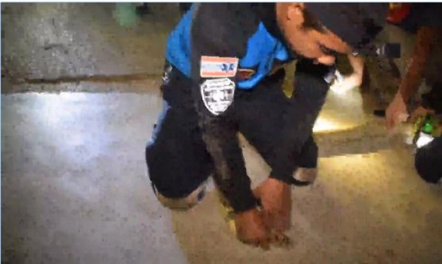 เจ้าหน้าที่ยืนตั้งหลักดี ใจนิ่งจัด! จับงูจงอางด้วยมือเปล่า