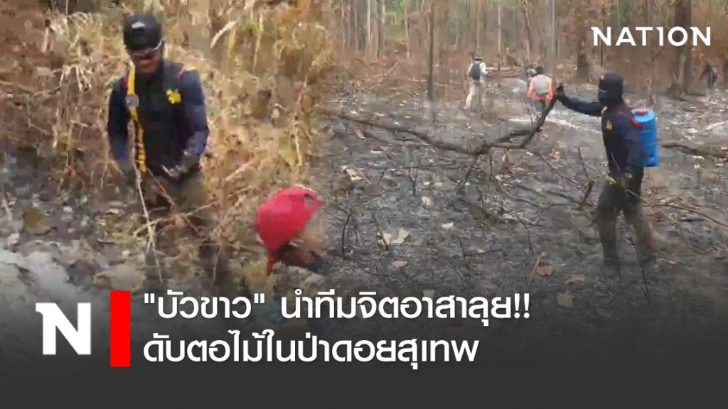 "บัวขาว" นำทีมจิตอาสาลุย!! ดับตอไม้ในป่าดอยสุเทพ "บัวขาว" นำทีมจิตอาสาลุย!! ดับตอไม้ในป่าดอยสุเทพ