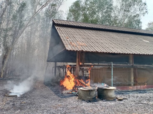 ไฟไหม้เล้าไก่ !! "ปารีณา" เจ้าตัว โอด เข้าพื้นที่ไม่ได้ เชื่อไม่มีทางไฟฟ้าลัดวงจร