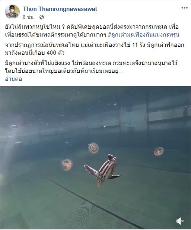 ดร.ธรณ์ โพสต์คลิปน่ารักหาดูยาก "ลูกเต่ามะเฟืองกินแมงกะพรุน"