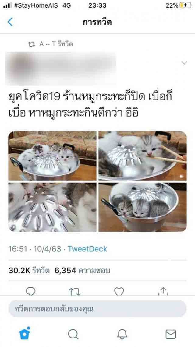 เมื่อ "สายกิน" หิวจนตาลาย "น้องหมาน้องแมว" เลยตกเป็นเหยื่อ