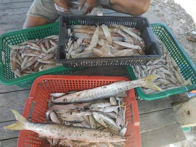 "รถเหล็ก" ออกทะเลหาปลาหลังโดนพิษโควิดเล่นงาน