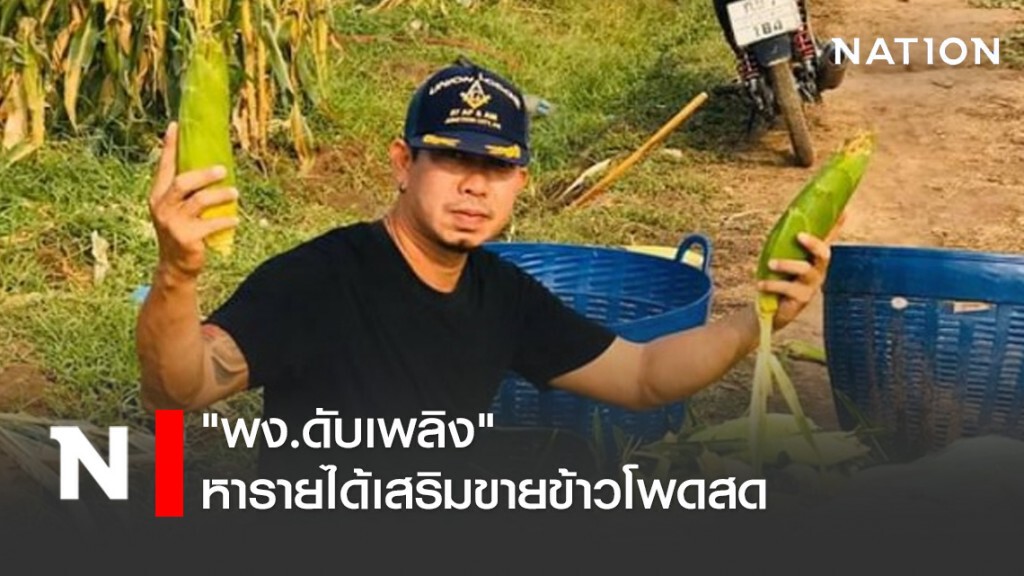 ยุคเศรษฐกิจฝืดเคือง "พง.ดับเพลิง" หารายได้เสริมขายข้าวโพดสด ยุคเศรษฐกิจฝืดเคือง "พง.ดับเพลิง" หารายได้เสริมขายข้าวโพดสด