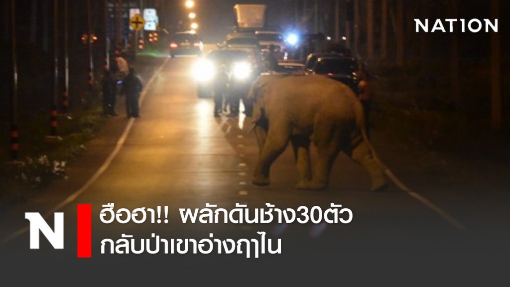 ฮือฮา!!  คลิปผลักดันช้าง30ตัว กลับป่าเขาอ่างฤๅไน