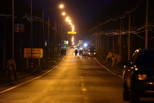 ฮือฮา!!  คลิปผลักดันช้าง30ตัว กลับป่าเขาอ่างฤๅไน